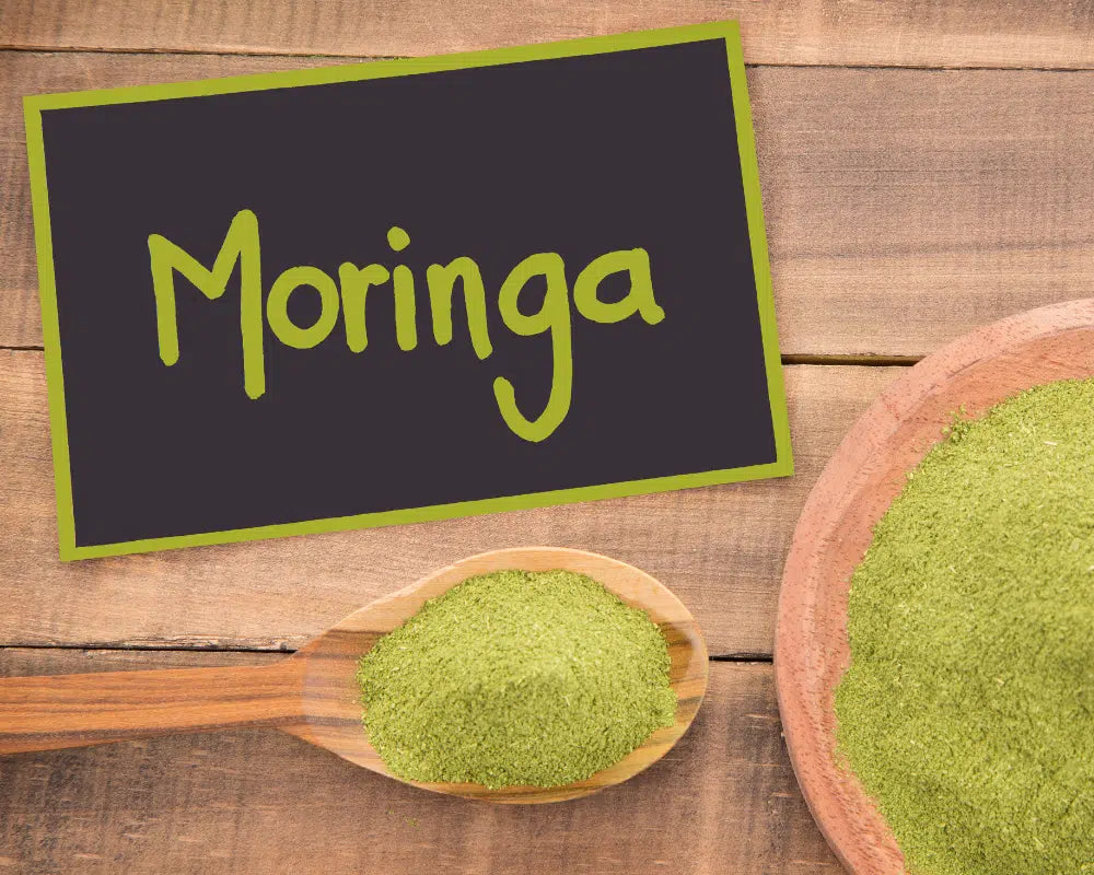 Polvere di moringa oleifera a cosa serve?