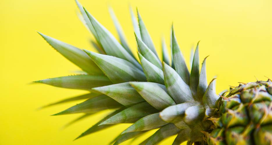 A cosa serve la bromelina e come funziona contro la cellulite