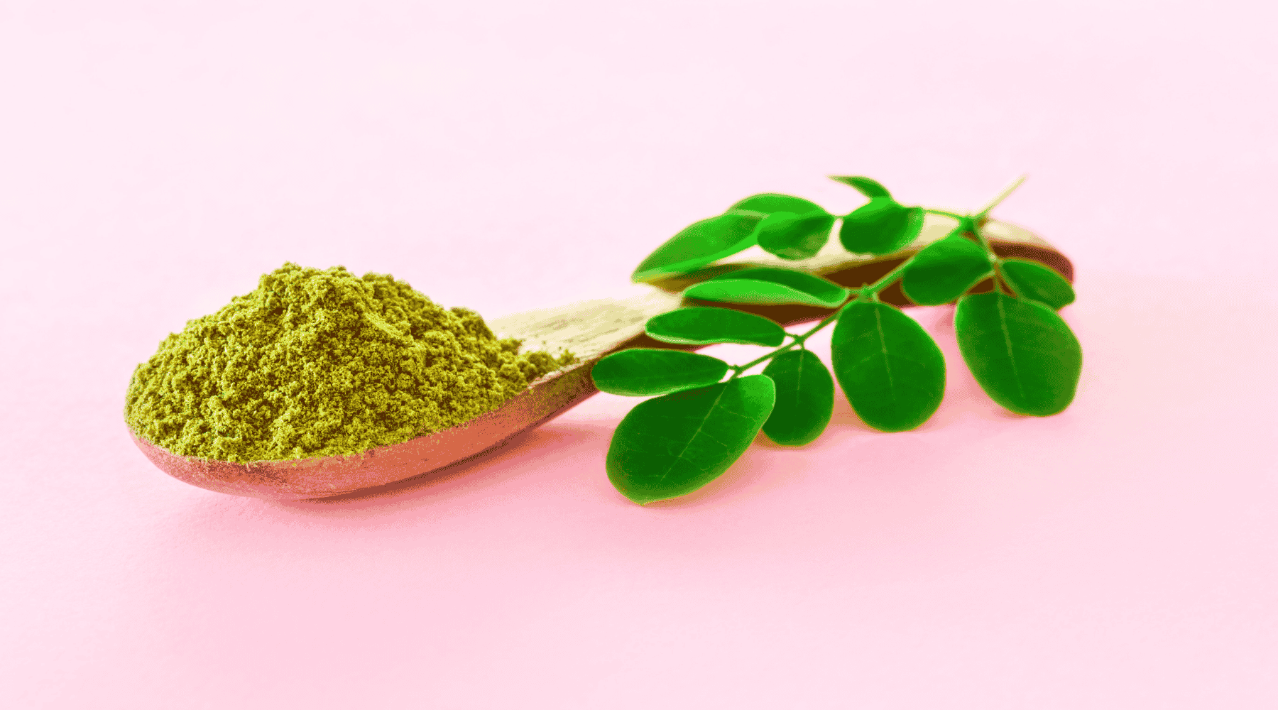 Come coltivare la Moringa in casa