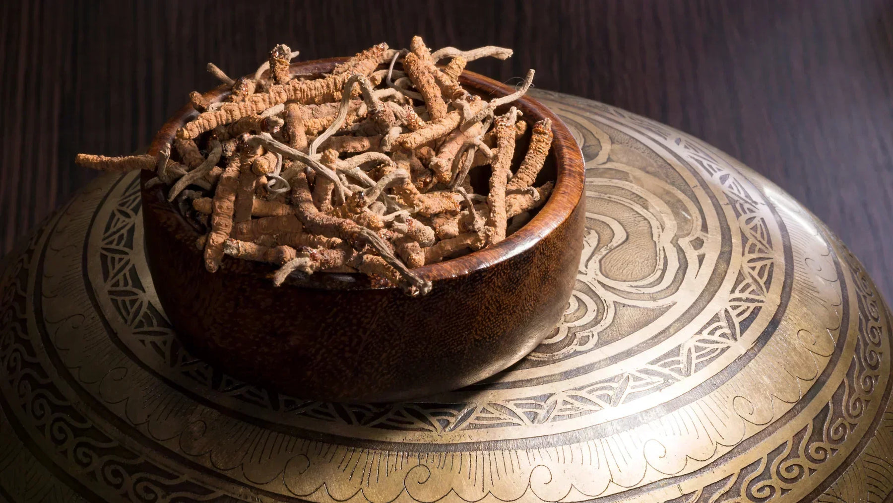 Cordyceps: proprietà, benefici e controindicazioni