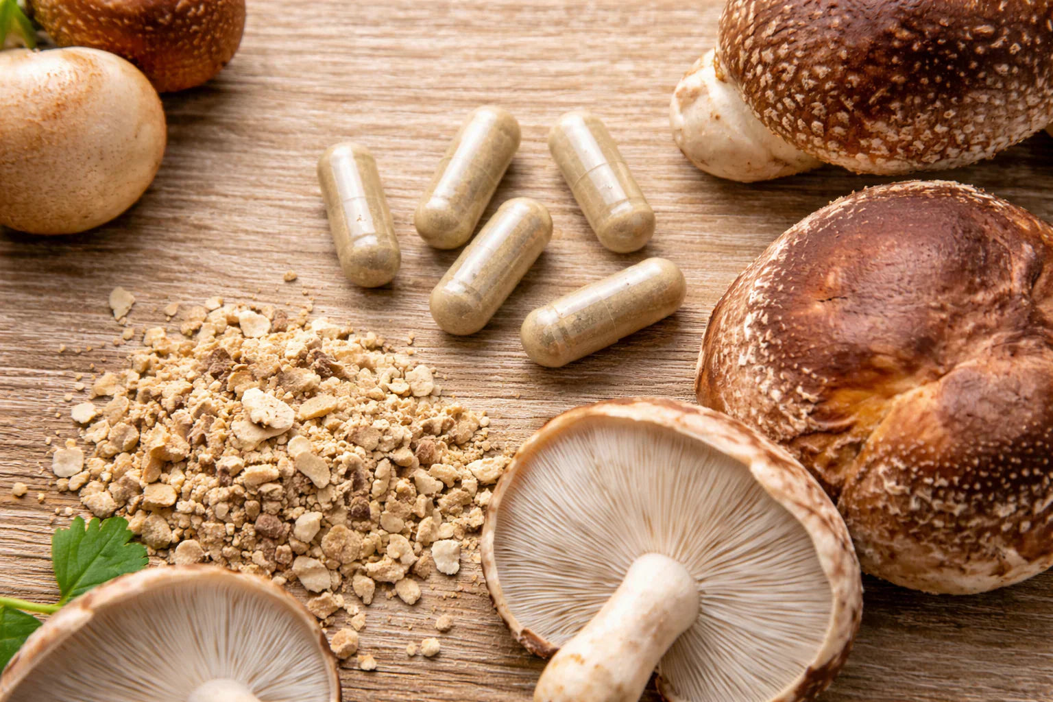 Funghi medicinali: cosa sono e quali benefici offrono