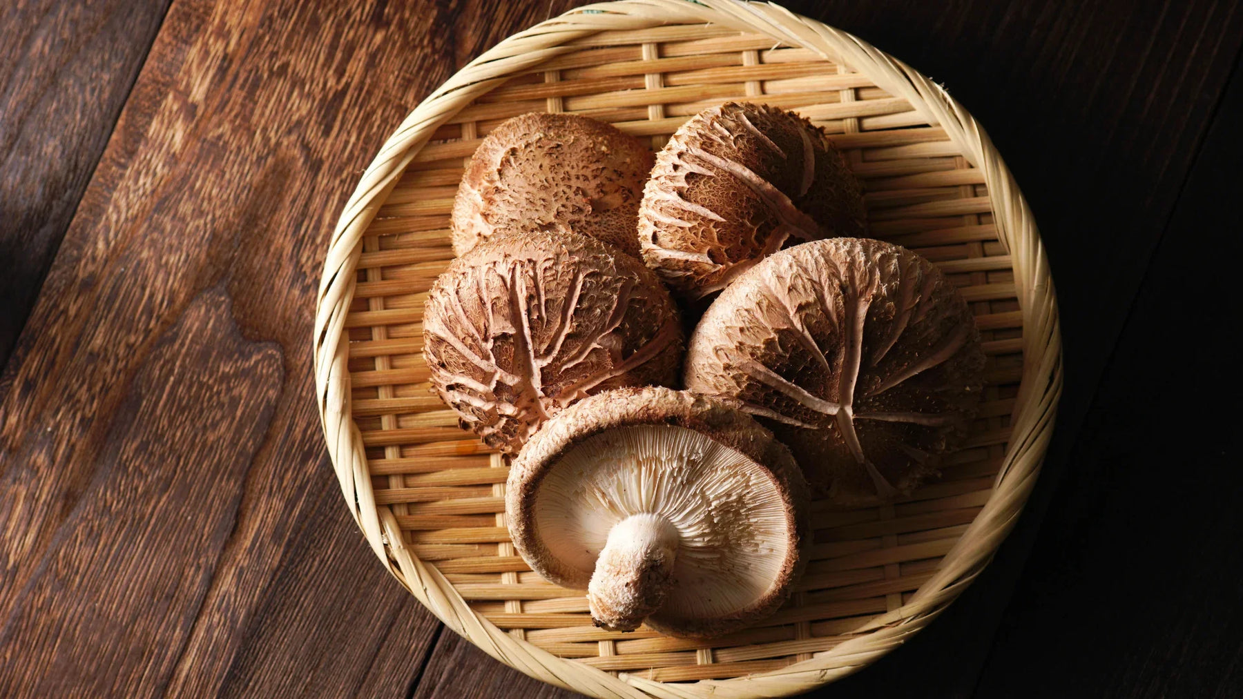 Funghi Shiitake: cos'e, proprieta e benefici di Lentinula edodes