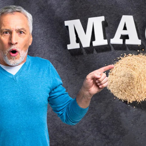 Maca per uomini over 40: andropausa, asse HPA e vitalità