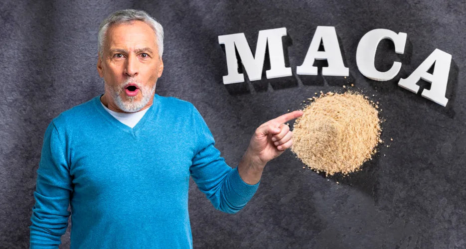 Maca per uomini over 40: andropausa, asse HPA e vitalità