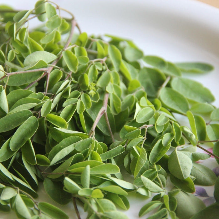 Sfatiamo le dicerie e i falsi miti sulle proprietà della Moringa