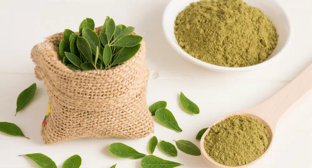 Come essiccare le foglie di moringa