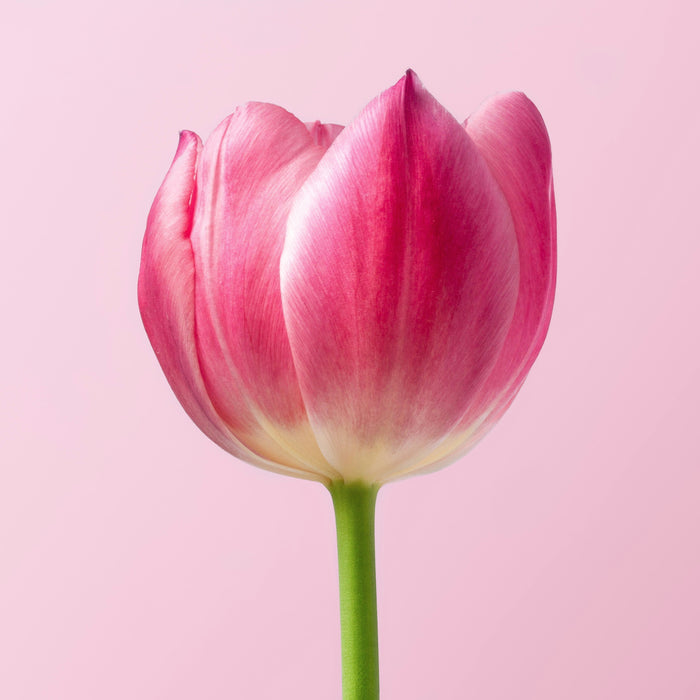 Come contrastare le vampate di calore e gli altri sintomi da menopausa
