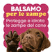 Cucciolo di labrador con la zampa alzata: il balsamo per le zampe protegge e idrata i polpastrelli del cane