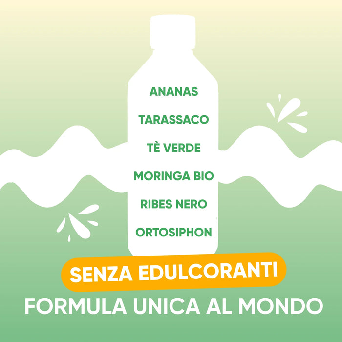 Ananas, Tarassaco, Tè verde, Moringa bio, Ribes nero, Ortosiphon