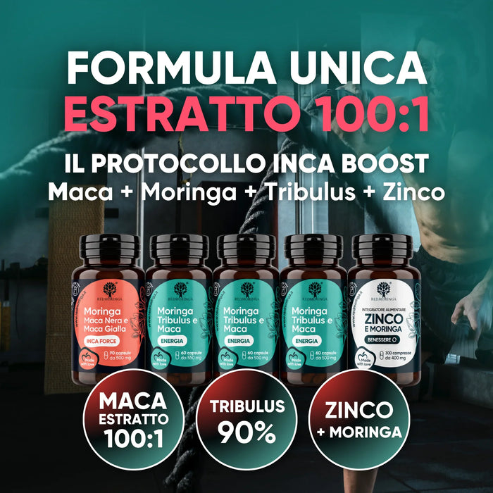 Protocolo INCA BOOST: extracto de Maca 100:1, Moringa, Tribulus 90% y Zinc, fórmula única