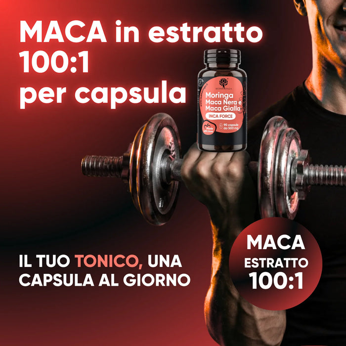 Maca in estratto 100:1 in ogni capsula, il tuo tonico una capsula al giorno