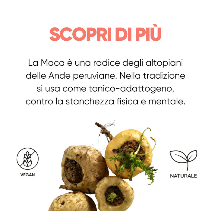 Radice di maca delle Ande peruviane, tonico-adattogeno della tradizione
