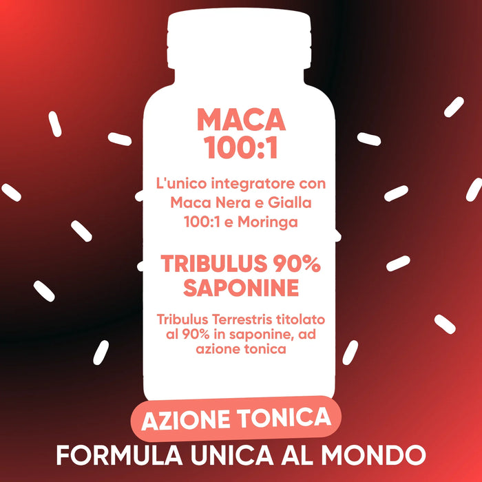 Tribulus Terrestris 90% saponine e Maca Nera e Gialla 100:1 con Moringa
