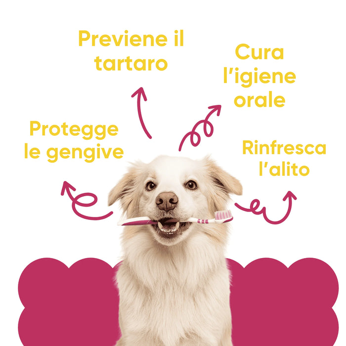 Cane con spazzolino e i benefici di Oral Care Wellwoof: previene il tartaro, protegge le gengive, rinfresca l'alito