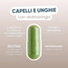 Capsule with horsetail, millet, cystine, methionine, biotin and organic Moringa