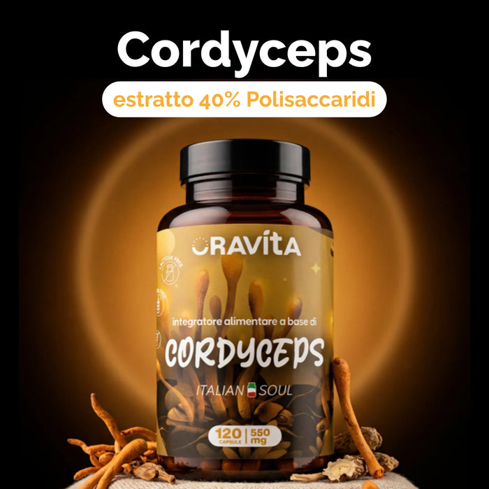 Oravita Cordyceps, extracto estandarizado al 40% de polisacáridos