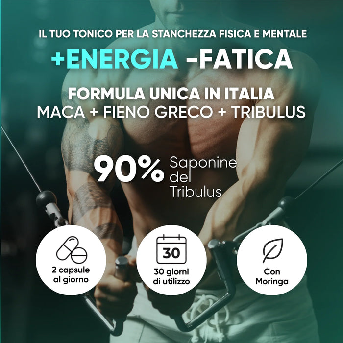 Tonic for physical and mental tiredness with tribulus at 90% saponins