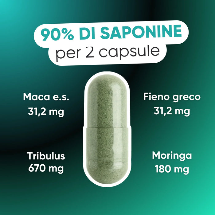 Dosage per 2 capsules: tribulus 670 mg, Moringa 180 mg, maca and fenugreek 31.2 mg