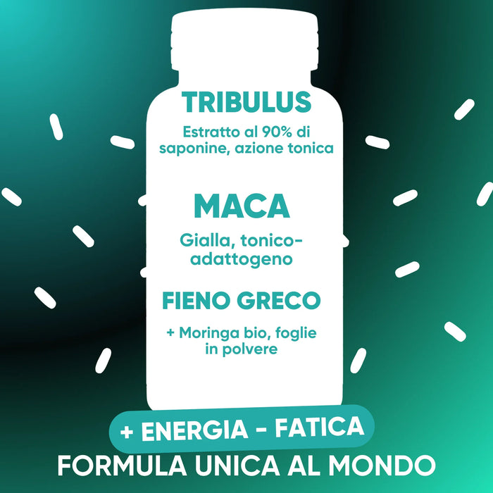 Tribulus, maca, fenugreek and organic Moringa