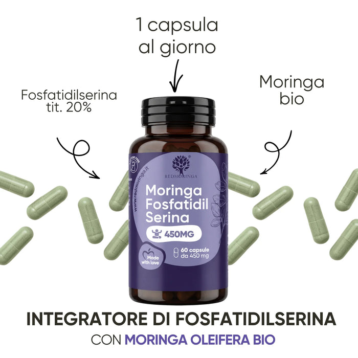 Phosphatidylserine supplement with organic Moringa Oleifera, one capsule a day