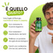 Moringa in capsule: per chi vuole sostenere la funzione digestiva e il metabolismo dei lipidi con un prodotto biologico