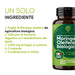 Un solo ingrediente: foglie di Moringa oleifera biologica, 1.260 mg in 3 capsule