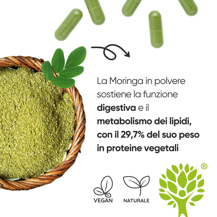 Moringa powder for digestive function and lipid metabolism, 29.7% plant protein