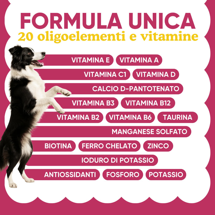 Border collie next to the Wellwoof formula with 20 trace elements and vitamins: A, D, E, B group, zinc, iron, taurine