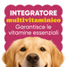 Golden retriever face with the words multivitamin supplement providing essential vitamins for dogs