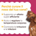 Perché curare il naso del cane: olfatto efficiente, regolazione della temperatura, meno irritazioni, con un cane fulvo