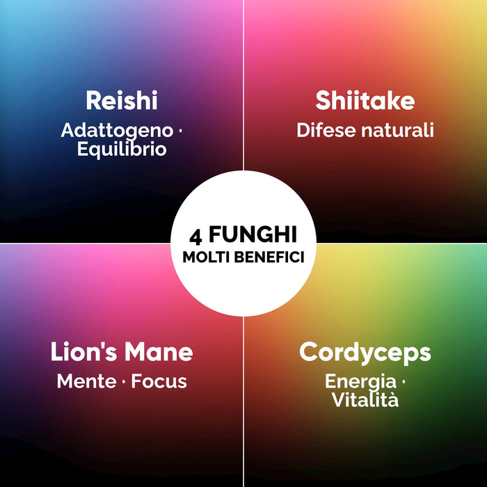 I 4 funghi del kit Oravita: Reishi adattogeno, Shiitake, Lion’s Mane e Cordyceps
