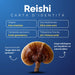 Carta d’identità del Reishi: Asia orientale, acido ganoderico, 30% polisaccaridi