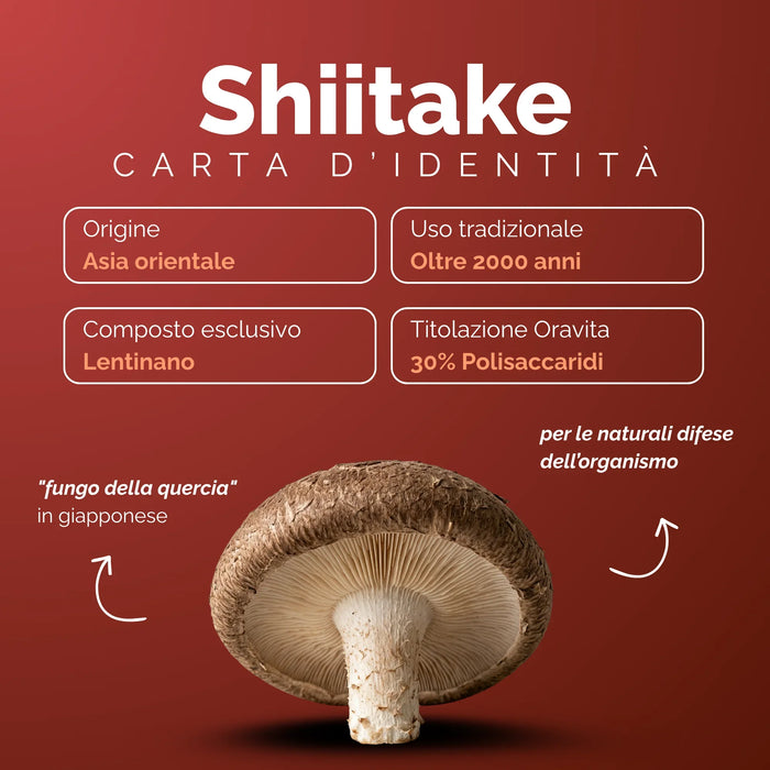 Carta d’identità dello Shiitake: Asia orientale, lentinano, 30% polisaccaridi