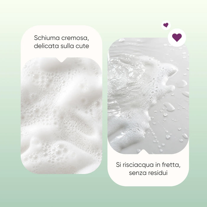Champú con Moringa: espuma cremosa, suave con el cuero cabelludo, se aclara sin residuos