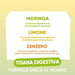 Moringa, limón y jengibre: función digestiva, metabolismo de los lípidos y motilidad gastrointestinal regular