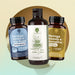 Trattamento Anticellulite Intensivo RedMoringa: Moringa Mirtillo e Vite Rossa, Olio Corpo e Moringa Ananas e Bromelina