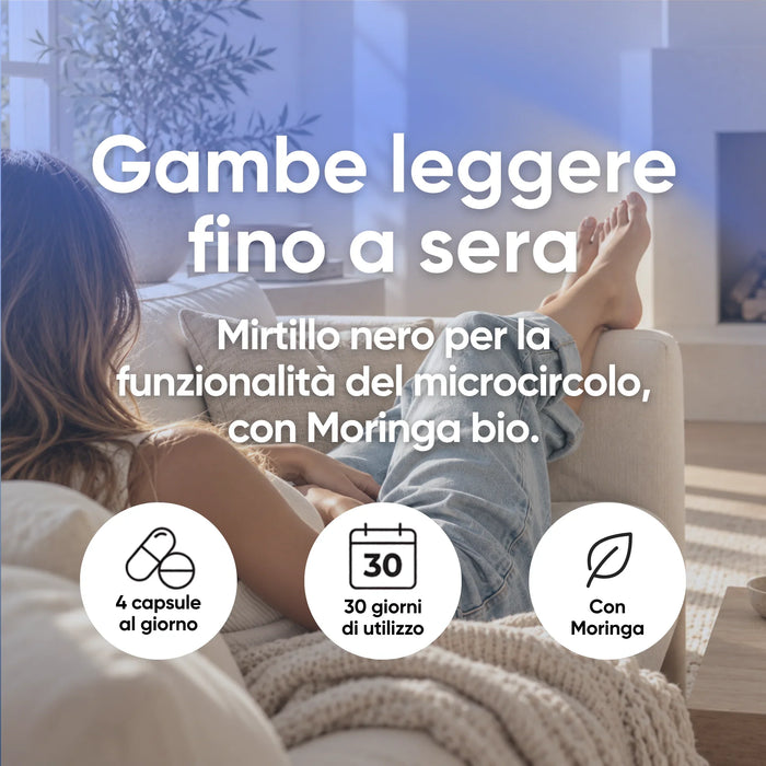 Set drenante: arándano negro para la función de la microcirculación, con Moringa ecológica