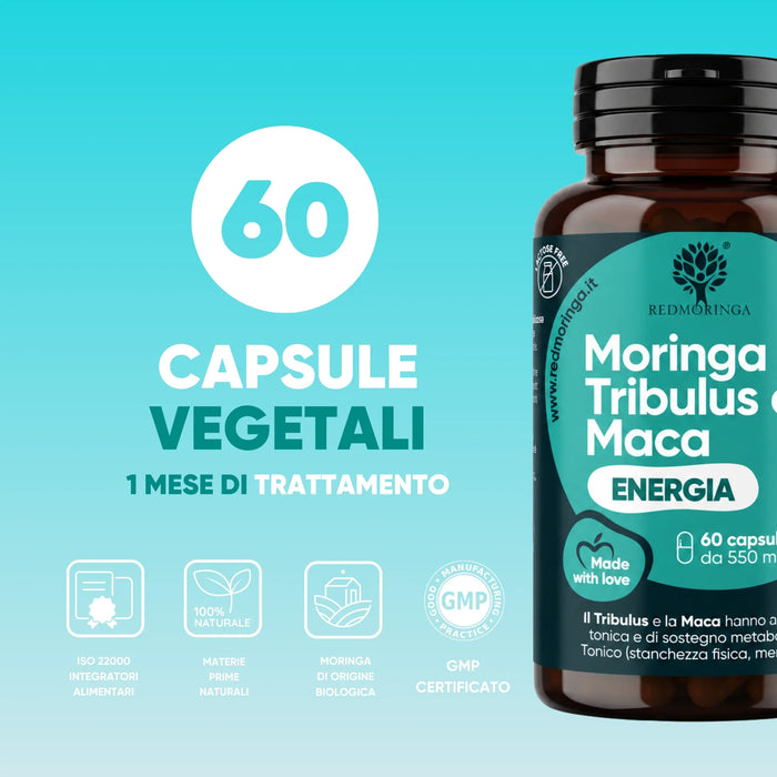 Moringa Tribulus and Maca bottle by RedMoringa: 60 vegetable capsules for 1 month of treatment, natural raw materials, GMP