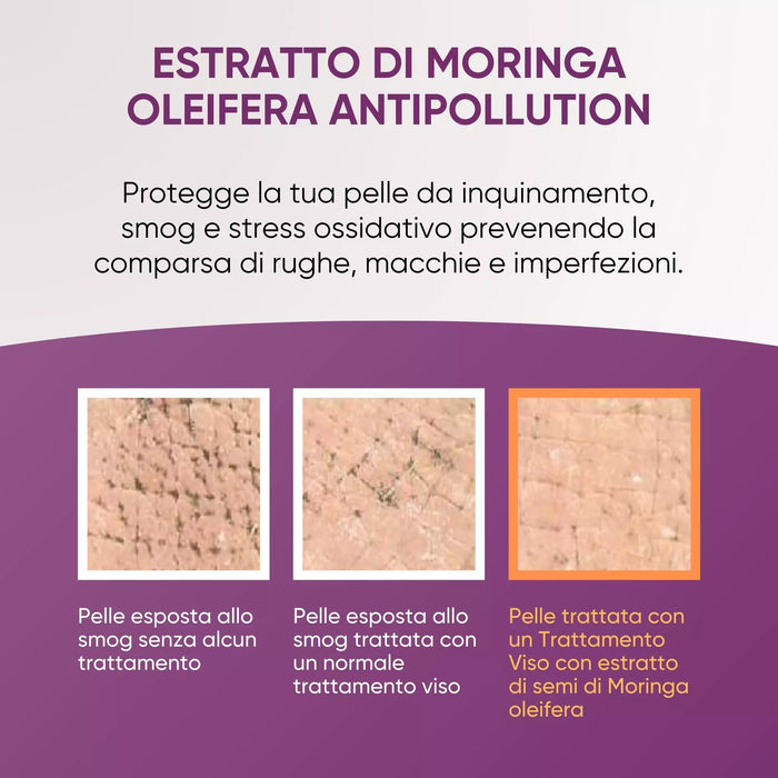 Infografía del extracto de Moringa anti-pollution del tratamiento facial RedMoringa: comparación de la piel expuesta al smog